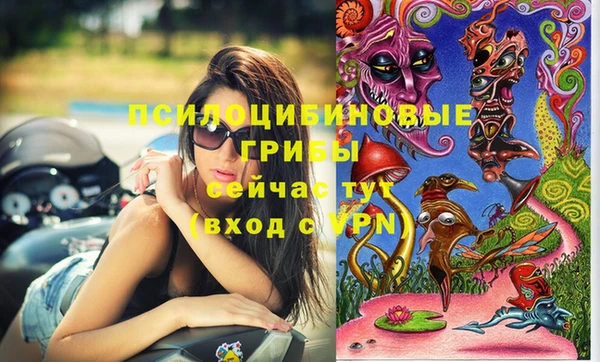 шишки Алексин