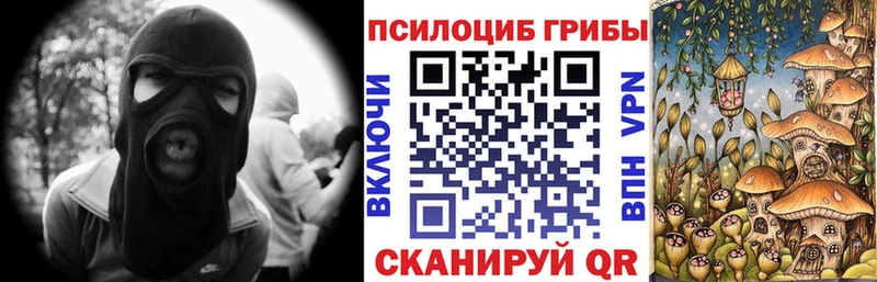 наркошоп  Инсар  Галлюциногенные грибы мухоморы 