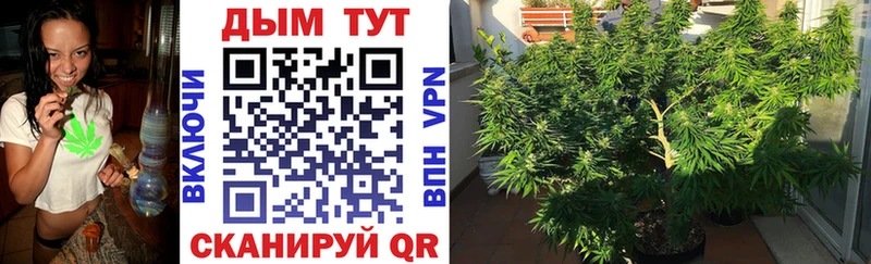 МАРИХУАНА THC 21%  Инсар 